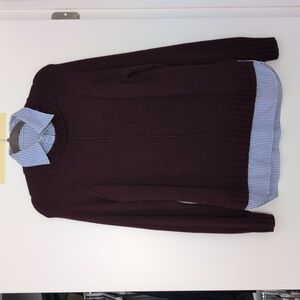 Ralph Lauren Black Label Burgundy Sweater with Blue Striped Collar